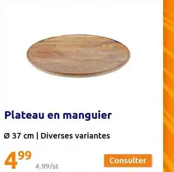 Action Plateau en manguier offre