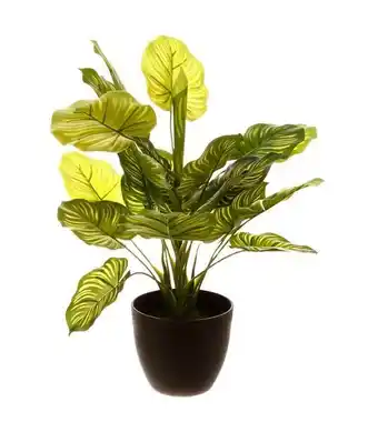 Atmosphera - plante verte artificielle en pot h 45 cm