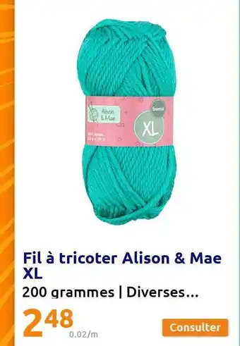 Action Fil à tricoter alison & mae xl offre