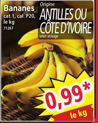 Norma Bananes offre