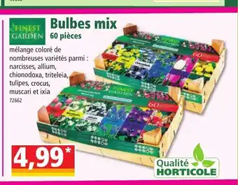 Bulbes Mix