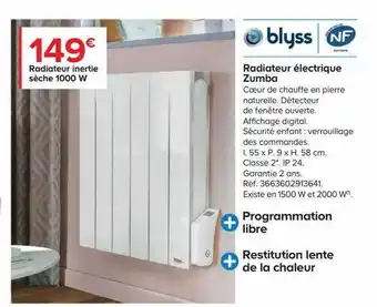 Castorama Radiateur inertie sèche 1000 w blyss offre