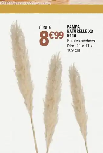 E.Leclerc Pampa Naturelle X3 H110 offre