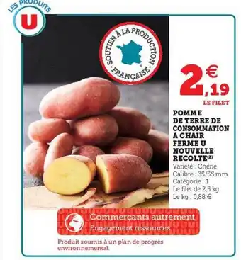 U Express Pomme de terre de consommation à chair ferme u nouvelle récolte offre