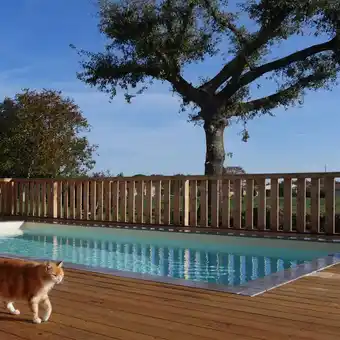 Irrijardin Kit piscine opti'loisir
6 x 3 x 1,50 m offre