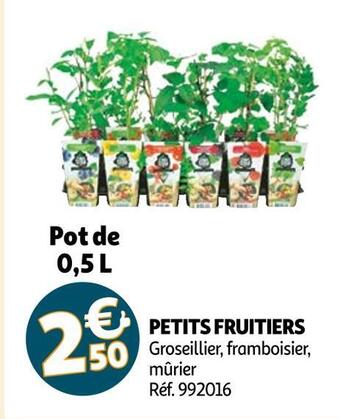 Auchan Petits fruitiers offre