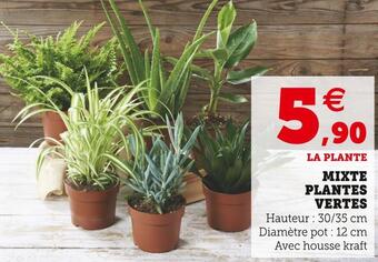 Super U Mixte plantes vertes offre