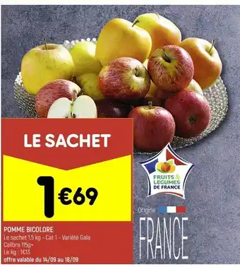 Leader Price Pomme bicolore offre