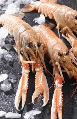 Hyper U Langoustine glacée offre