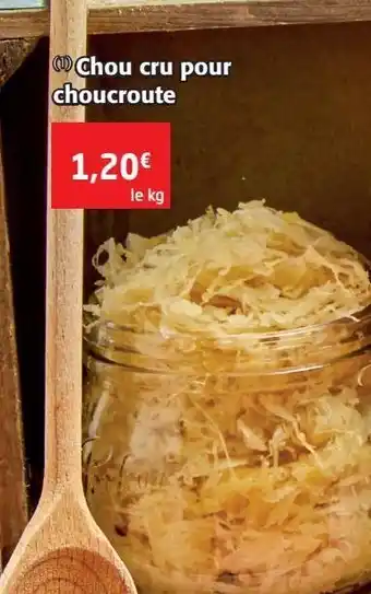 Colruyt Chou cru pour choucroute offre