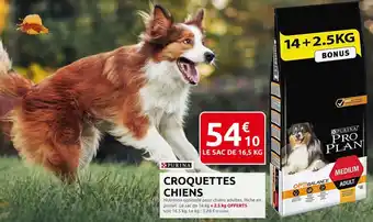 Rural Master Croquettes Chiens offre