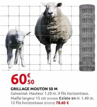 Rural Master Grillage Mouton 50 M offre