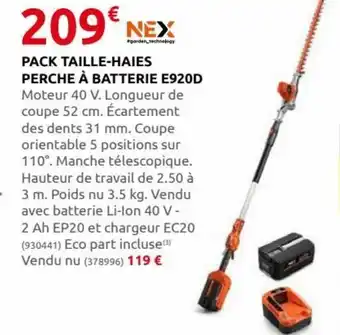Rural Master Pack Taille-Haies Perche à Batterie E920D offre