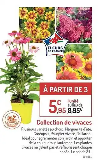Botanic Collection de vivaces offre