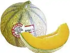 MELON CHARENTAIS JAUNE