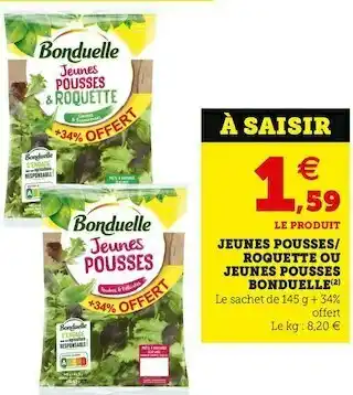 JEUNES POUSSES ROQUETTE OU JEUNES POUSSES