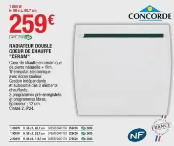 Brico Dépôt Radiateur double coeur de chauffe offre