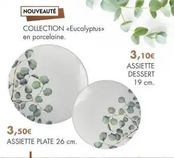 E.Leclerc Collection «eucalyptus» en porcelaine : assiette dessert 19 cm, assiette plate 26 cm offre