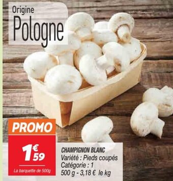 Netto Champignon Blanc offre