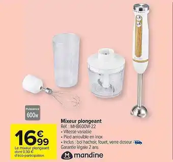 Carrefour Market Mixeur plongeant mandine offre