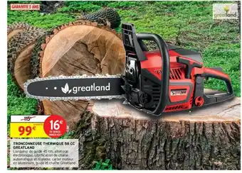 Tronçonneuse thermique 58 cc greatland