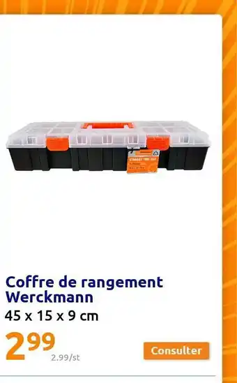 Action Coffre de rangement werckmann offre