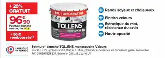 Castorama Peinture blanche tollens monocouche velours offre