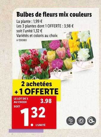 Lidl Bulbes de fleurs mix couleurs offre