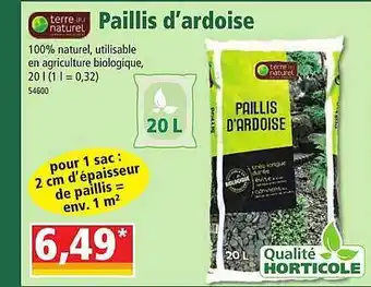 Norma Paillis d'ardoise terre au naturel offre