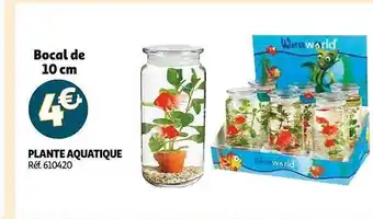 Auchan Plante aquatique offre