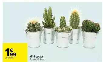 Carrefour Mini cactus offre