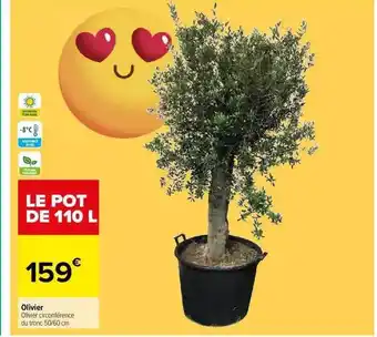 Carrefour Olivier offre