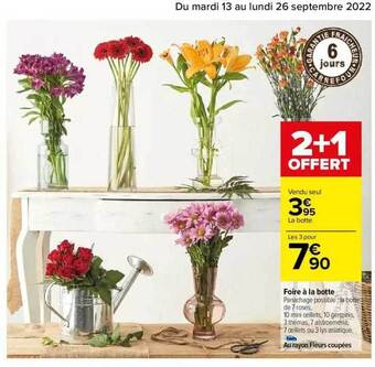 Carrefour Foire à la botte offre