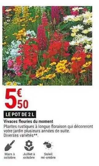 Gamm vert Vivaces fleuries du moment offre