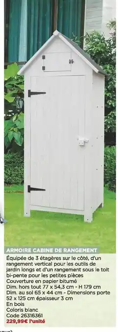 Armoire cabine de rangement