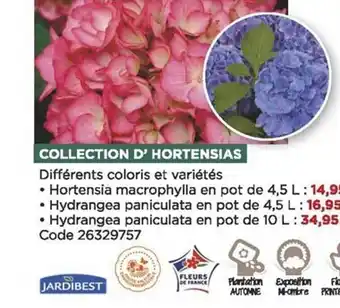 Collection d'hortensias jardibest
