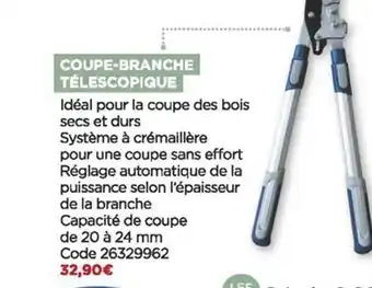 Bricomarché Coupe-branche télescopique offre