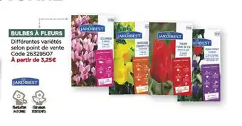 Bricomarché Bulbes à fleurs jardibest offre