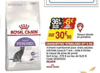 Bricomarché Croquettes offre