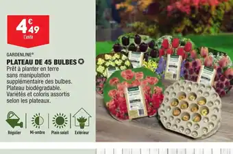 ALDI Plateau de 45 Bulbes offre