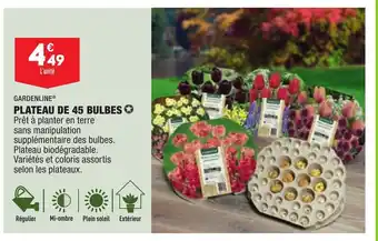 ALDI Plateau de 45 Bulbes offre