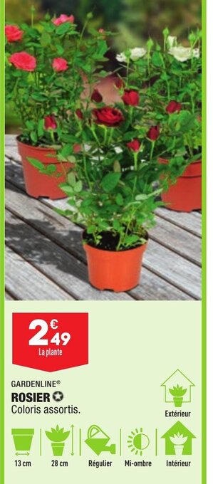 ALDI Rosier offre