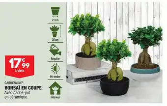 ALDI Bonsaï En Coupe offre