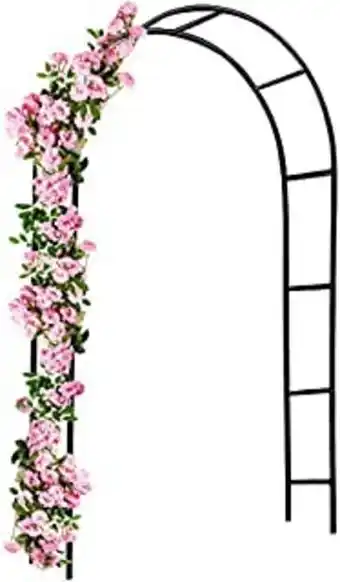 Deuba arche de jardin 240x140x37cm support pour plantes grimpantes arche à rosiers tuteur décoration extérieure