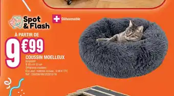 Coussin Moelleux