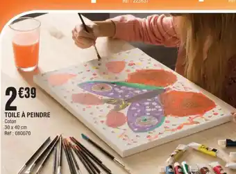 La Foir'Fouille Toile A Peindre offre