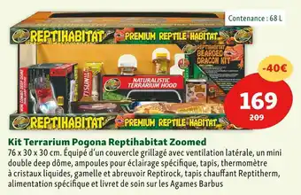 Maxi Zoo Reptihabitat kit terrarium pogona zoomed offre
