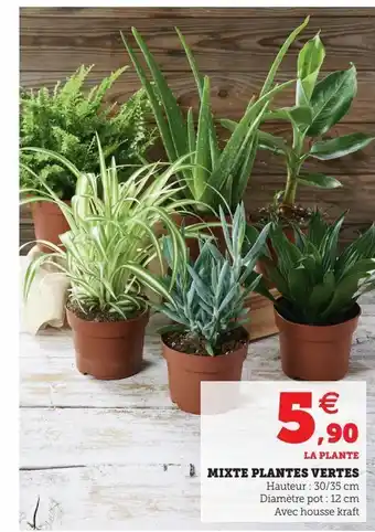 U Express Mixtes plantes vertes offre