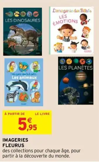 Imageries fleurus