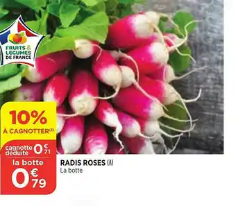 Bi1 Radis Roses offre